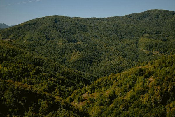 Sauvegardons Nos Océans : Défis Cruciaux et Solutions Innovantes